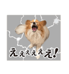 りきぞう君スタンプ（個別スタンプ：2）