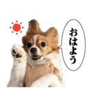 りきぞう君スタンプ（個別スタンプ：3）