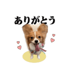 りきぞう君スタンプ（個別スタンプ：4）