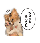 りきぞう君スタンプ（個別スタンプ：5）