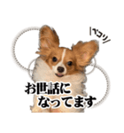 りきぞう君スタンプ（個別スタンプ：7）