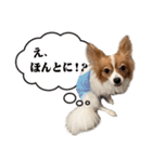 りきぞう君スタンプ（個別スタンプ：10）