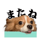 りきぞう君スタンプ（個別スタンプ：13）