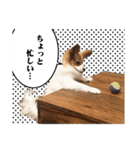 りきぞう君スタンプ（個別スタンプ：16）