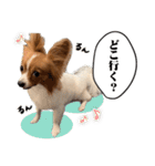 りきぞう君スタンプ（個別スタンプ：20）