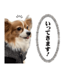りきぞう君スタンプ（個別スタンプ：21）