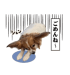 りきぞう君スタンプ（個別スタンプ：23）