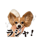 りきぞう君スタンプ（個別スタンプ：24）