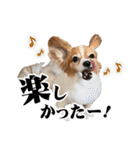 りきぞう君スタンプ（個別スタンプ：29）
