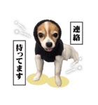 りきぞう君スタンプ（個別スタンプ：32）