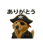シュールな海賊の犬のスタンプ 002（個別スタンプ：1）