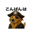 シュールな海賊の犬のスタンプ 002（個別スタンプ：5）