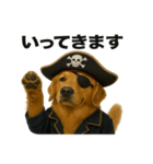 シュールな海賊の犬のスタンプ 002（個別スタンプ：11）