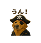 シュールな海賊の犬のスタンプ 002（個別スタンプ：27）