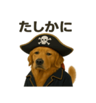 シュールな海賊の犬のスタンプ 002（個別スタンプ：33）