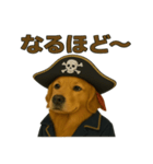 シュールな海賊の犬のスタンプ 002（個別スタンプ：34）