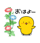 【夏の日常】ひよこのちっぴ（個別スタンプ：1）