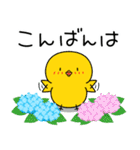 【夏の日常】ひよこのちっぴ（個別スタンプ：3）