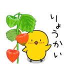 【夏の日常】ひよこのちっぴ（個別スタンプ：6）