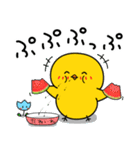 【夏の日常】ひよこのちっぴ（個別スタンプ：10）