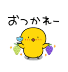 【夏の日常】ひよこのちっぴ（個別スタンプ：11）