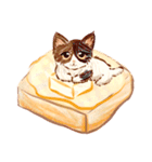 子猫と食べ物（個別スタンプ：3）