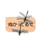 スマホの上のトンボ 5《関西弁》（個別スタンプ：22）