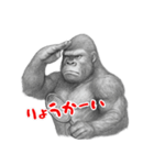 ゴリラ×バドミントン！鉛筆画（個別スタンプ：1）