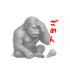 ゴリラ×バドミントン！鉛筆画（個別スタンプ：16）