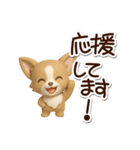 チワワ 犬スタンプ（3D）（個別スタンプ：26）