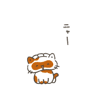 動く！餃子のたぬき 夏（個別スタンプ：16）