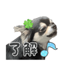 チクワのきもち12（個別スタンプ：5）
