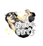 チクワのきもち12（個別スタンプ：6）