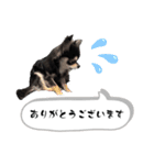 チクワのきもち12（個別スタンプ：7）