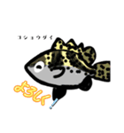 魚スタンプ第6弾リメイク（個別スタンプ：4）