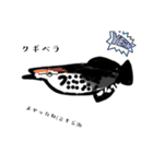 魚スタンプ第6弾リメイク（個別スタンプ：5）