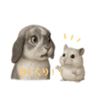 こゆ＆キュンのほんわか日常（個別スタンプ：3）