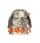 こゆ＆キュンのほんわか日常（個別スタンプ：8）