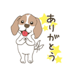 むぅちゃんじゃけん（個別スタンプ：1）