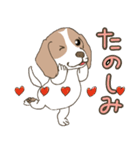 むぅちゃんじゃけん（個別スタンプ：2）