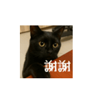 小花達です！ほのぼの日常(台湾華語)（個別スタンプ：2）