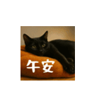 小花達です！ほのぼの日常(台湾華語)（個別スタンプ：4）