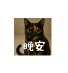 小花達です！ほのぼの日常(台湾華語)（個別スタンプ：5）