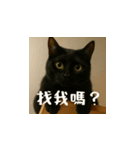小花達です！ほのぼの日常(台湾華語)（個別スタンプ：7）