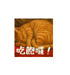 小花達です！ほのぼの日常(台湾華語)（個別スタンプ：10）