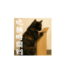 小花達です！ほのぼの日常(台湾華語)（個別スタンプ：14）