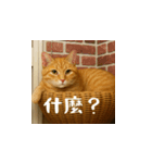 小花達です！ほのぼの日常(台湾華語)（個別スタンプ：15）
