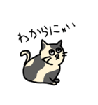 吾輩がねこにゃぁ（個別スタンプ：6）
