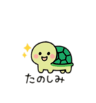 可愛い亀日本語（個別スタンプ：1）