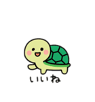 可愛い亀日本語（個別スタンプ：2）